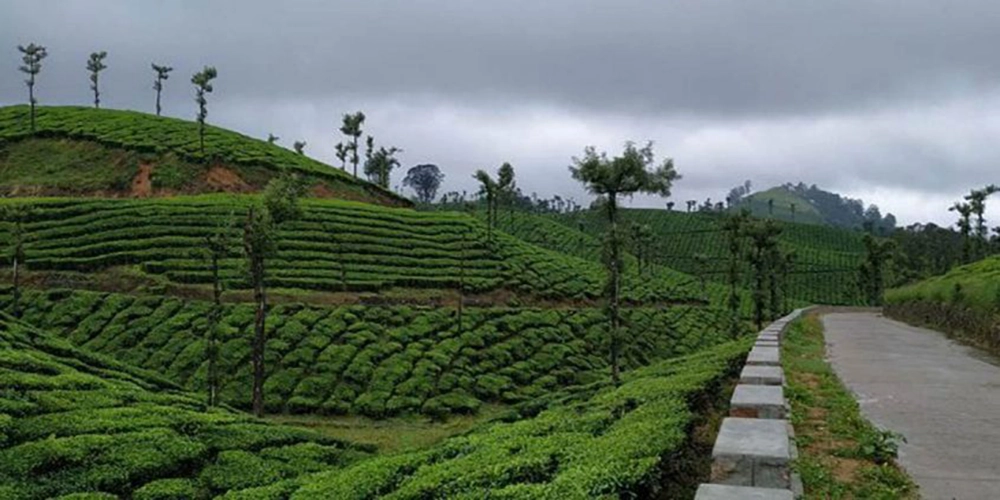 Viewpoints Valparai